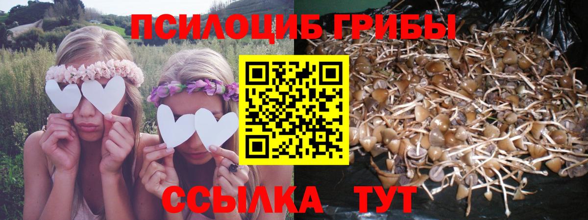 Галлюциногенные грибы мухоморы Гатчина