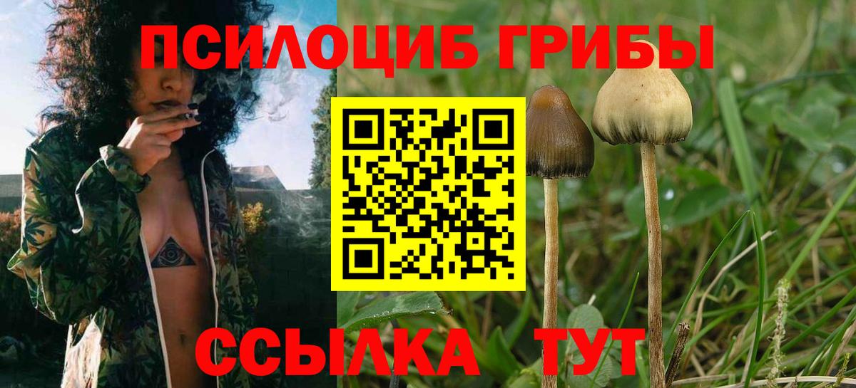 Галлюциногенные грибы MAGIC MUSHROOMS  закладка  Вход с VPN  Гатчина  Галлюциногенные грибы GOLDEN TEACHER 