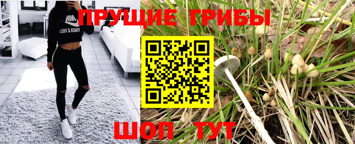 Меф   LSD-25  ГЕРОИН  Вход с VPN  Гатчина  Конопля  COCAIN  Мефедрон  APVP СОЛЬ кристаллы 